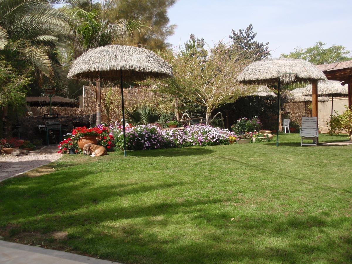 Idan Lodge In The Arava Paran المظهر الخارجي الصورة